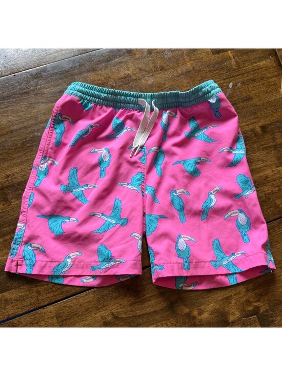 chubbies Other - Chubbies Blue & Pink Toucan Boys Swimming Trunks Size Medium